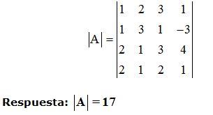 matrices y determinantes