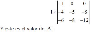 matrices y determinantes