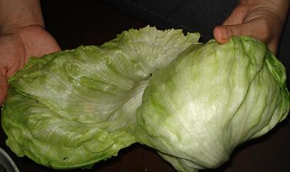 hojas de lechuga