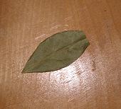 Hoja de Laurel