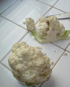 coliflor