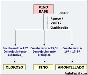 vinos