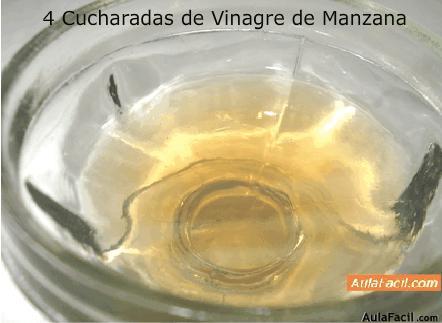 vinagre de manzana