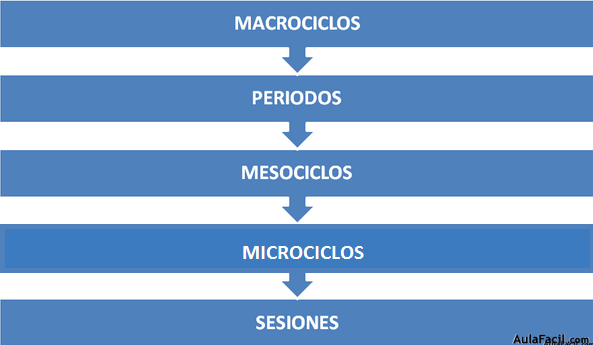 Estructura de la planificación