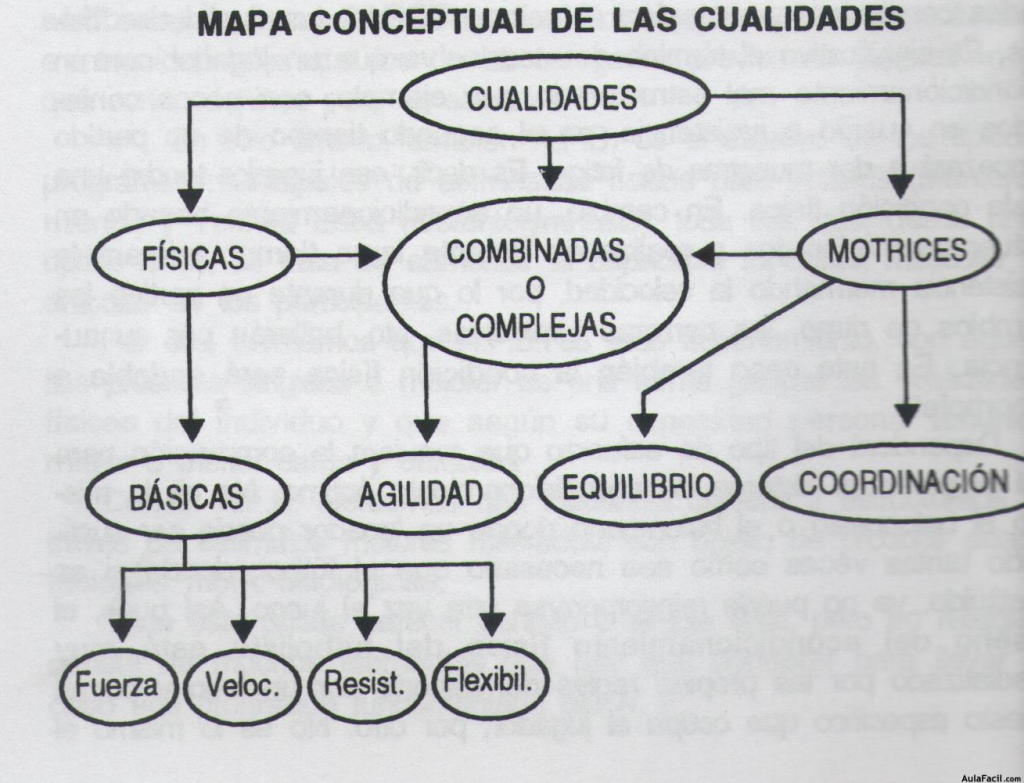 Mapa conceptual de las cualidades