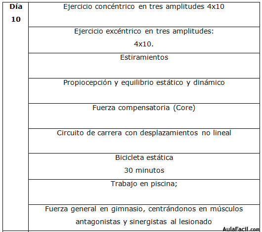 protocolo