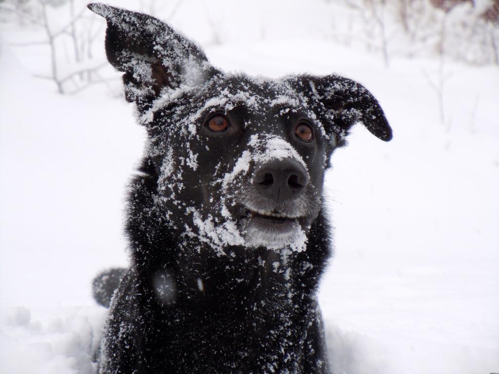 mirada fija