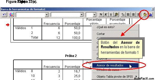 Statistical Package for the Social Sciences