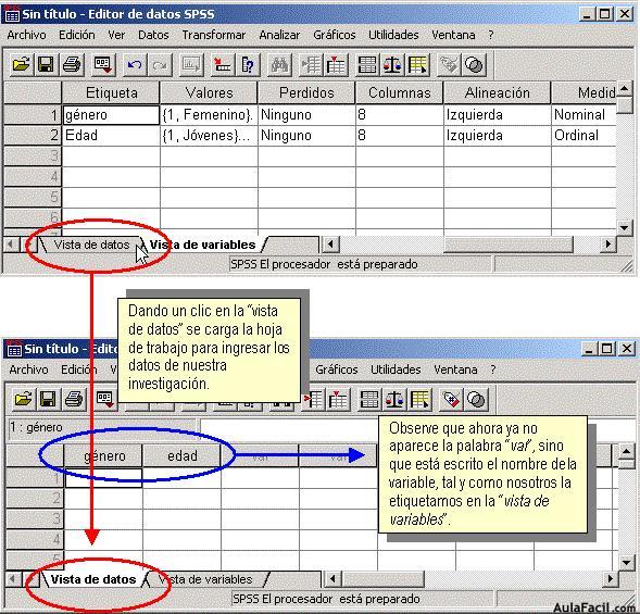 Statistical Package for the Social Sciences