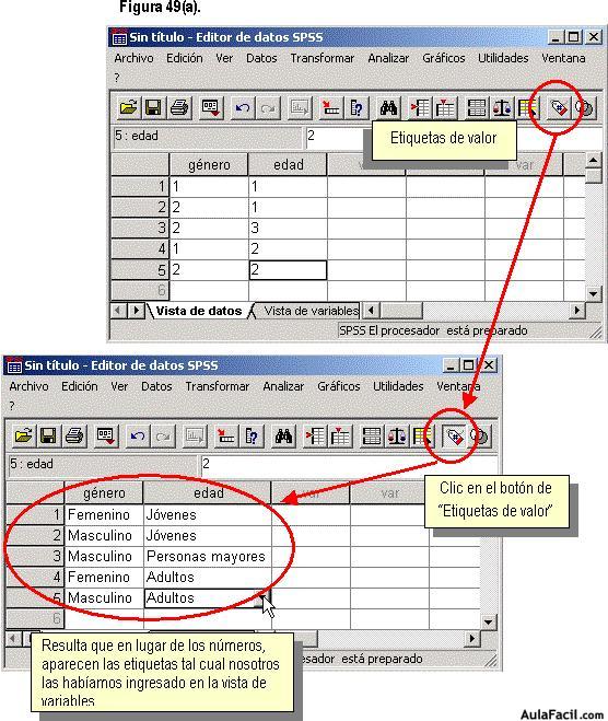 Statistical Package for the Social Sciences