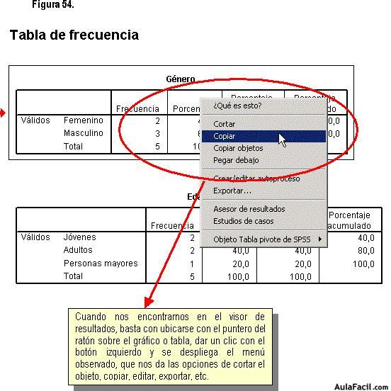 Statistical Package for the Social Sciences