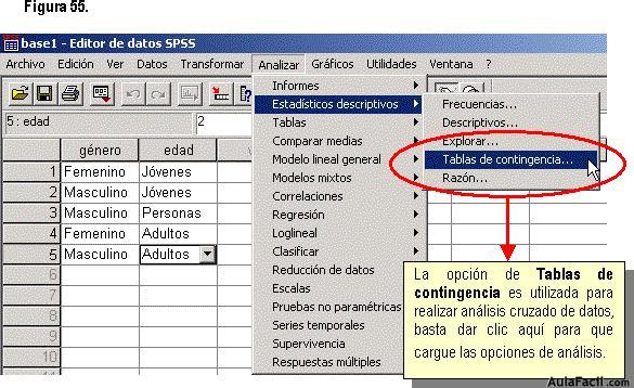 Statistical Package for the Social Sciences