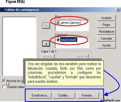 Statistical Package for the Social Sciences