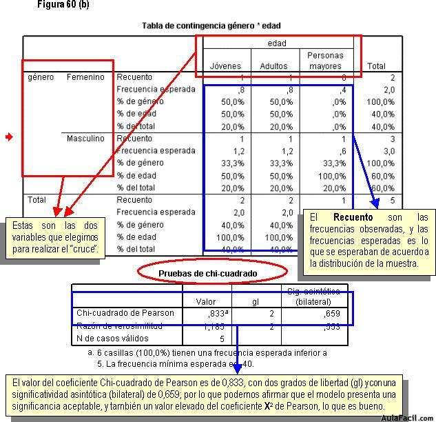 Statistical Package for the Social Sciences