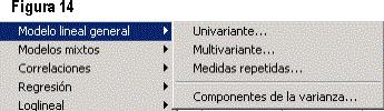 Statistical Package for the Social Sciences