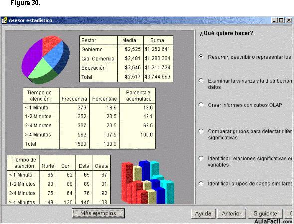 Statistical Package for the Social Sciences