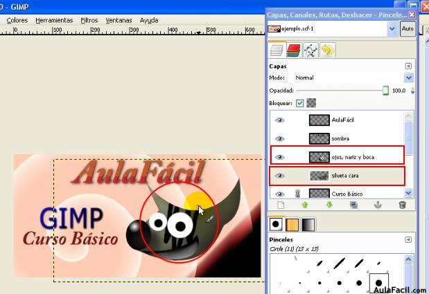 gimp 2.6