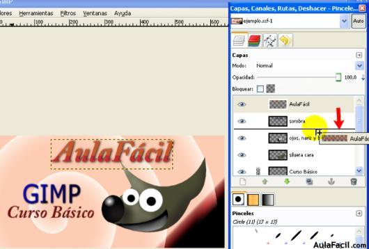 gimp 2.6