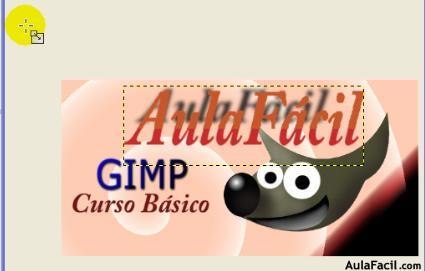 gimp 2.6