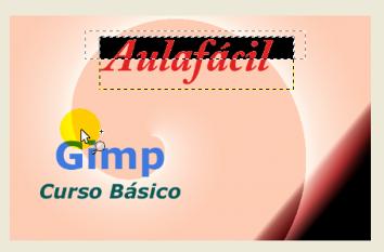 gimp 2.6