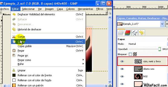 gimp 2.6