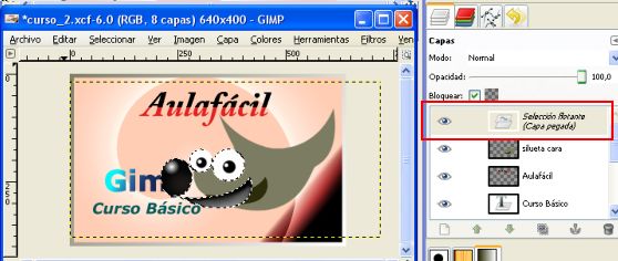 gimp 2.6