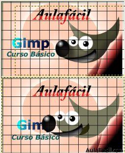 gimp 2.6