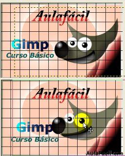 gimp 2.6