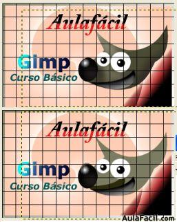 gimp 2.6