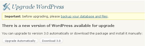 Wordpress