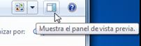 panel vista previa