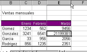 Desbordamiento de datos