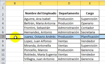 Formato a la Tabla - Ordenar Alfabéticamente e insertar Filas